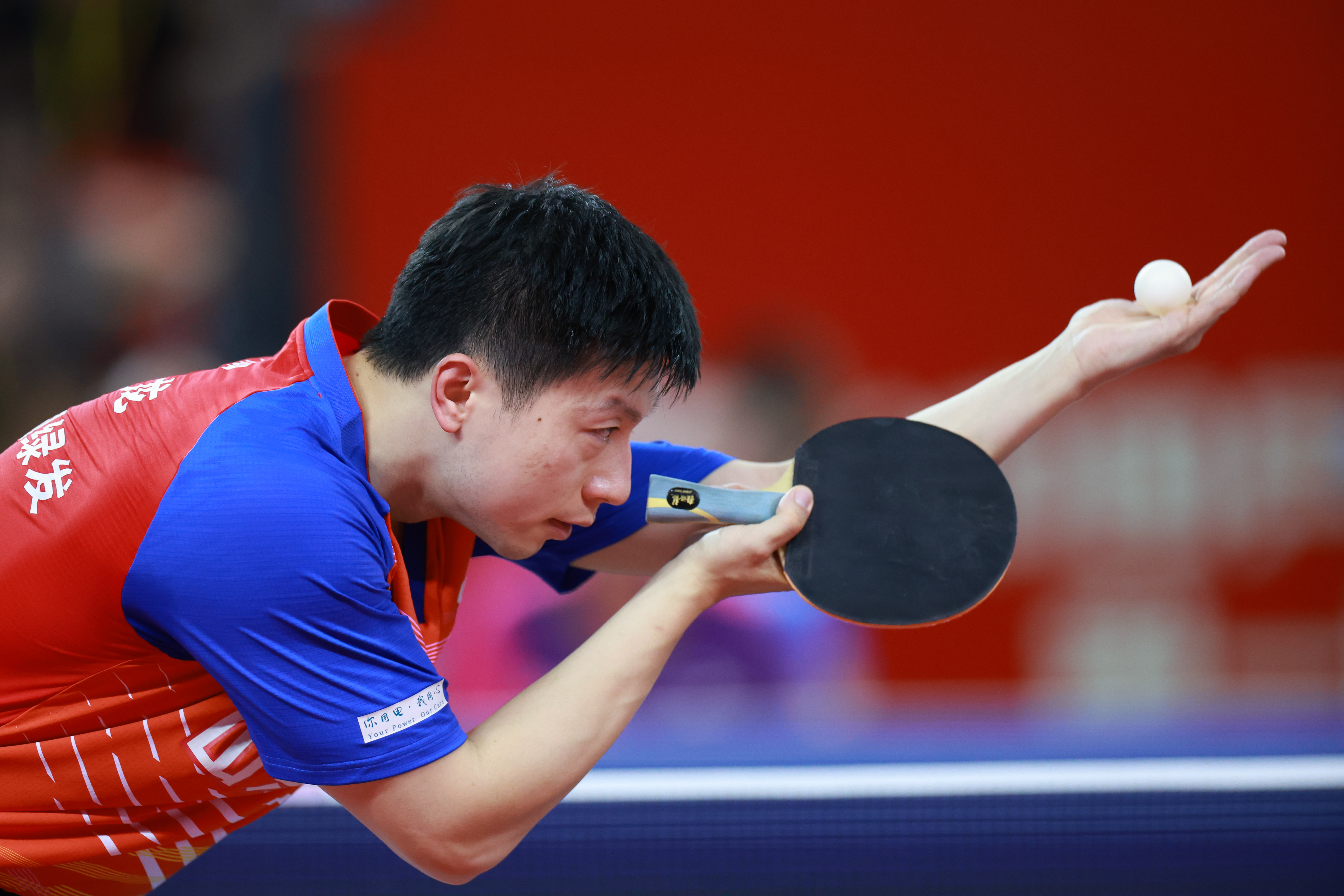 包含乒乓球赛事精彩瞬间盘点，年度回顾震撼登场的词条