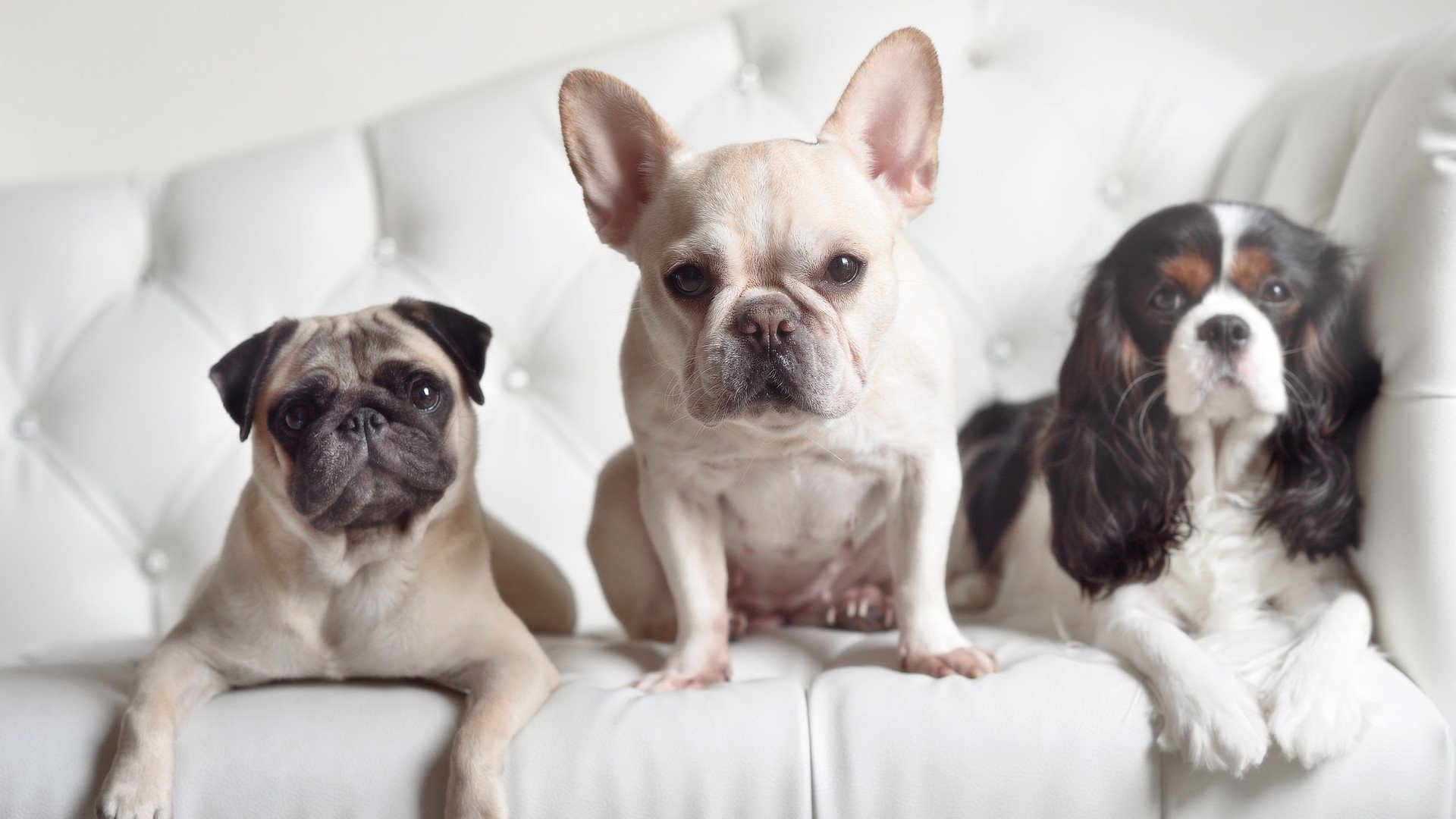 以最决绝的逆境，焊死他的王座