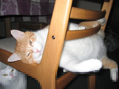 一锤定音！阿坎吉让哥斯达黎加创造唯一胜利