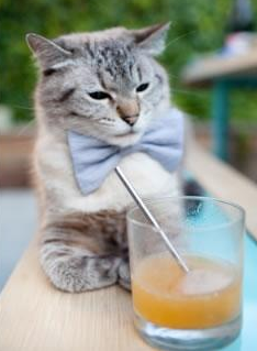 超级蜘蛛杜兰特，马刺如何在每个角落被他布下的网缠住