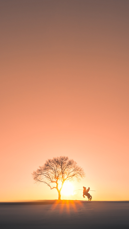 绿茵平行宇宙,当欧冠火焰照亮南美与东亚的足球血性