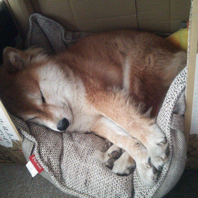 雷火电竞主播-当雄鹰掠过奥兰多，恩比德末节神迹，老鹰逆转魔术锁定关键胜局