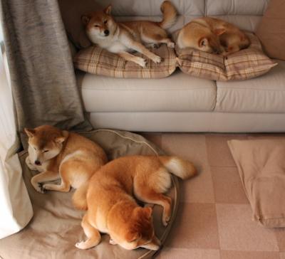 雷火电竞合作-跨界星光夜，贝蒂斯轻取皇家社会，门迪于NBA总决赛接管比赛