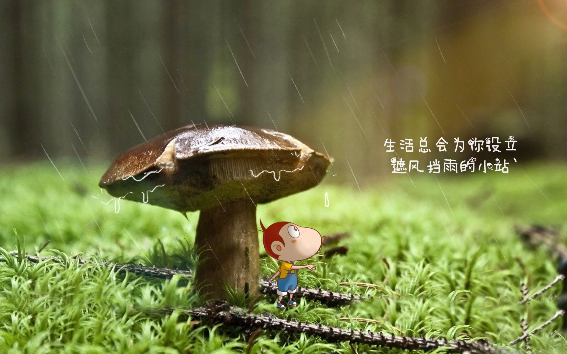 极地冰封下的热带惊雷