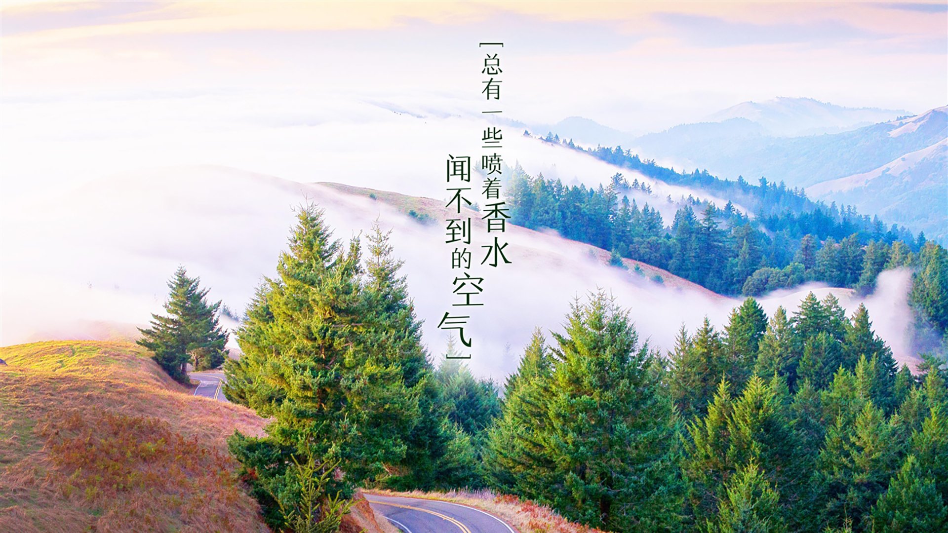 血染的C组,2026世界杯,托纳利在节奏风暴中定义唯一