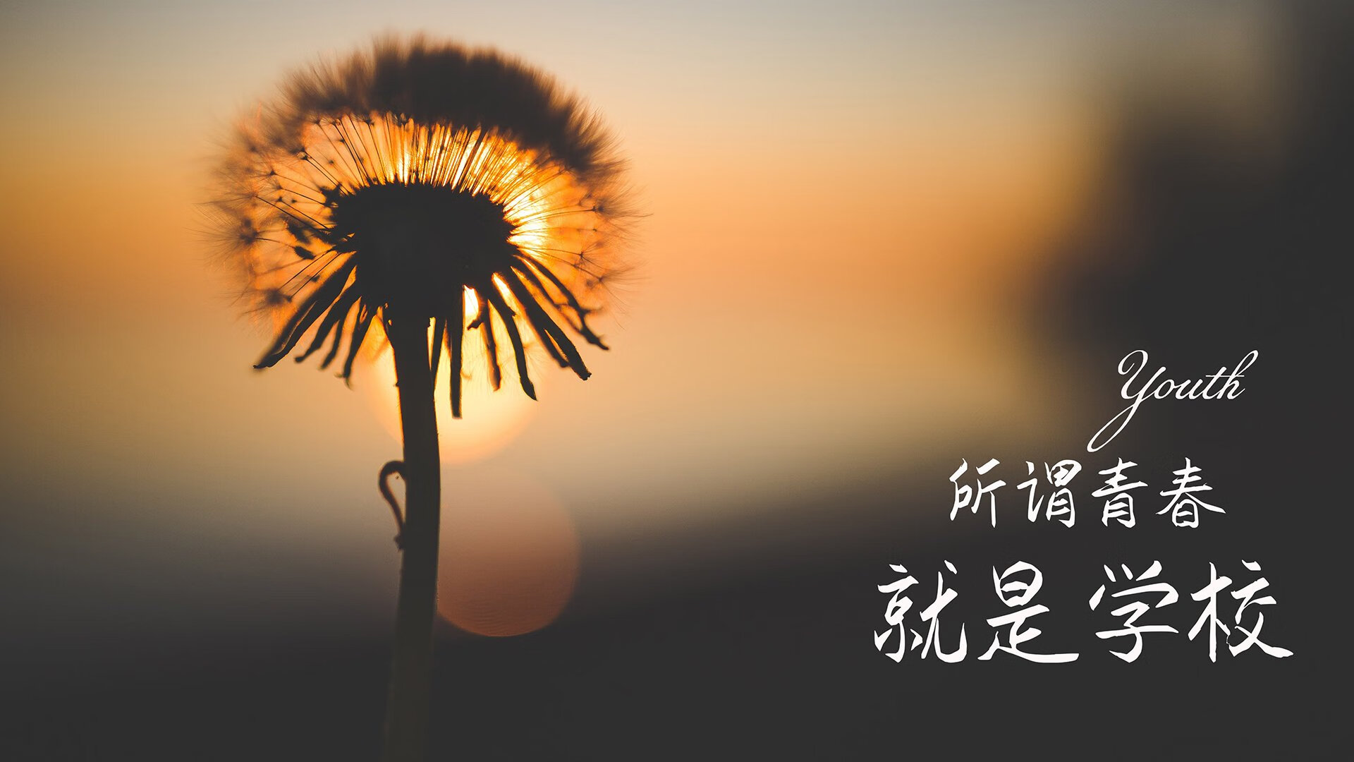 孤峰独峙,2026世界杯A组关键战,澳大利亚碾压智利,卢卡库领衔演绎防守艺术