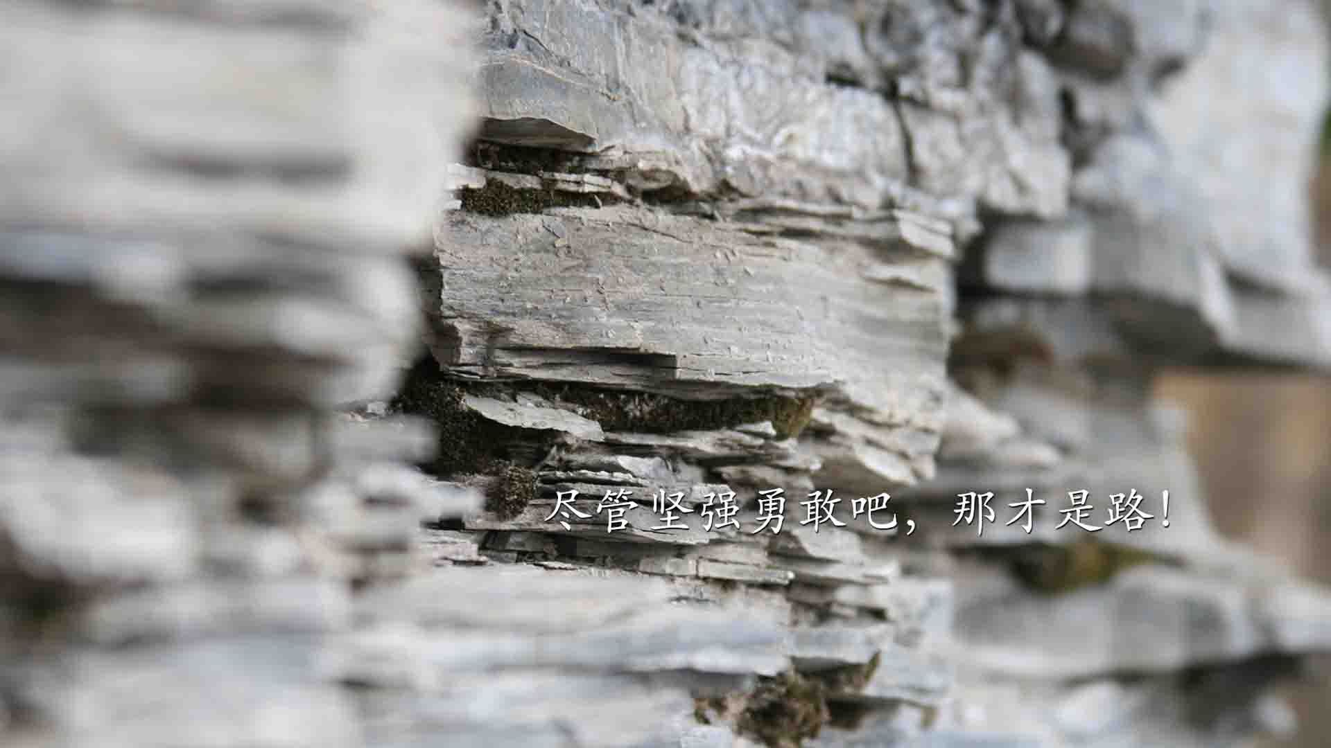 雷火电竞主播-枫叶撼五星，2026世界杯E组，哈兰德一剑封喉，加拿大击碎巴西王朝