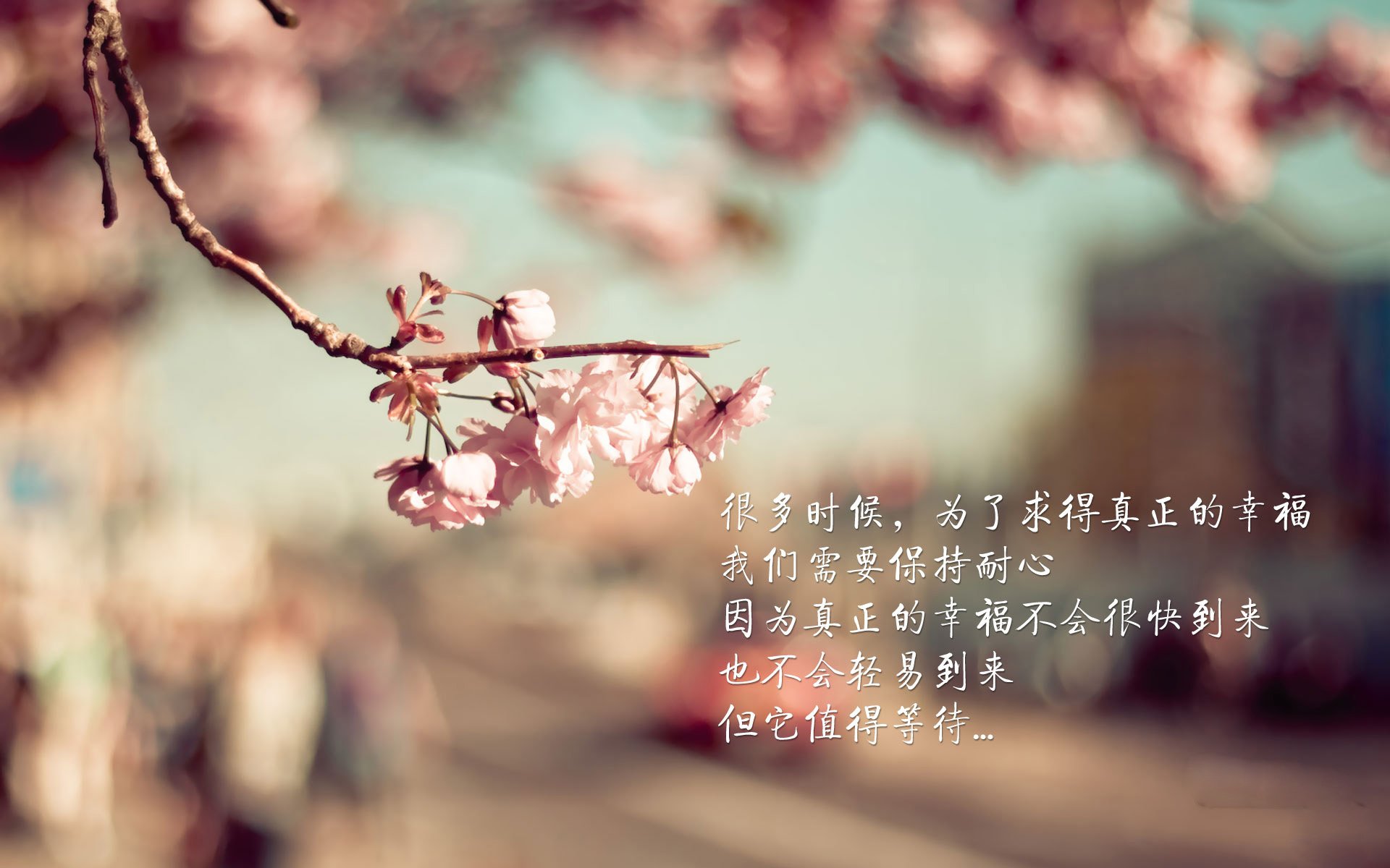 蓝衣军团覆灭之夜，斯洛伐克的钢铁洪流如何碾碎意大利的荣耀之路