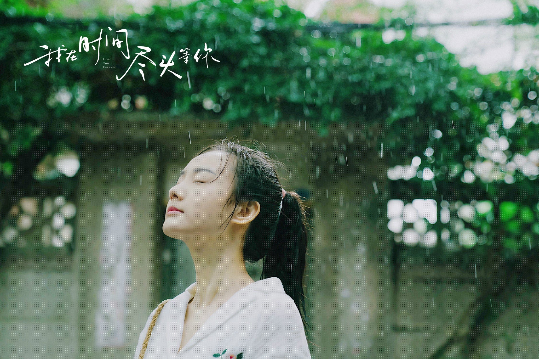 橙色风暴失声，泰拳旋风席卷，当莫德里奇在2026世界杯C组用节奏写就唯一剧本