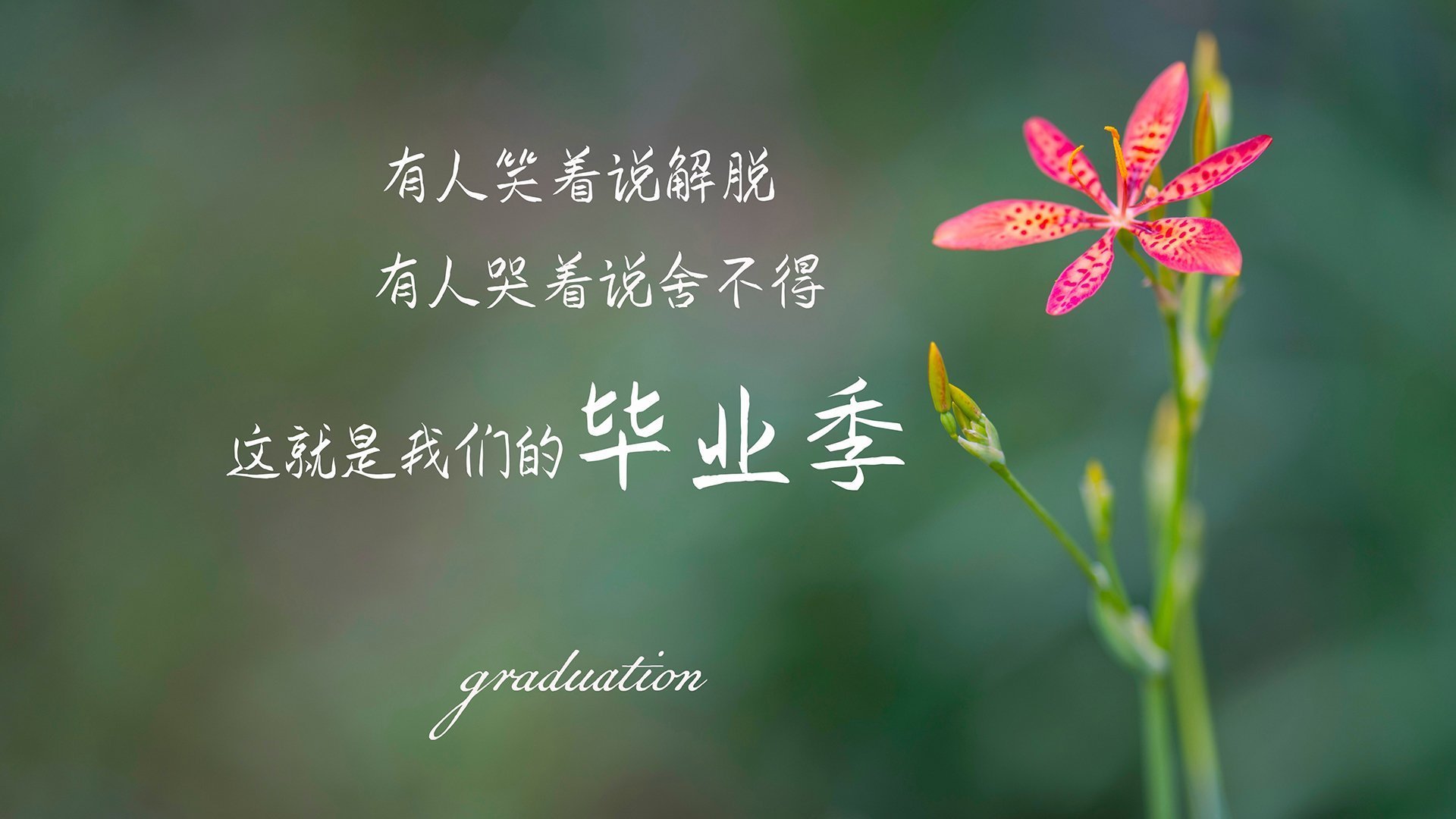 扩展(三重递进式)