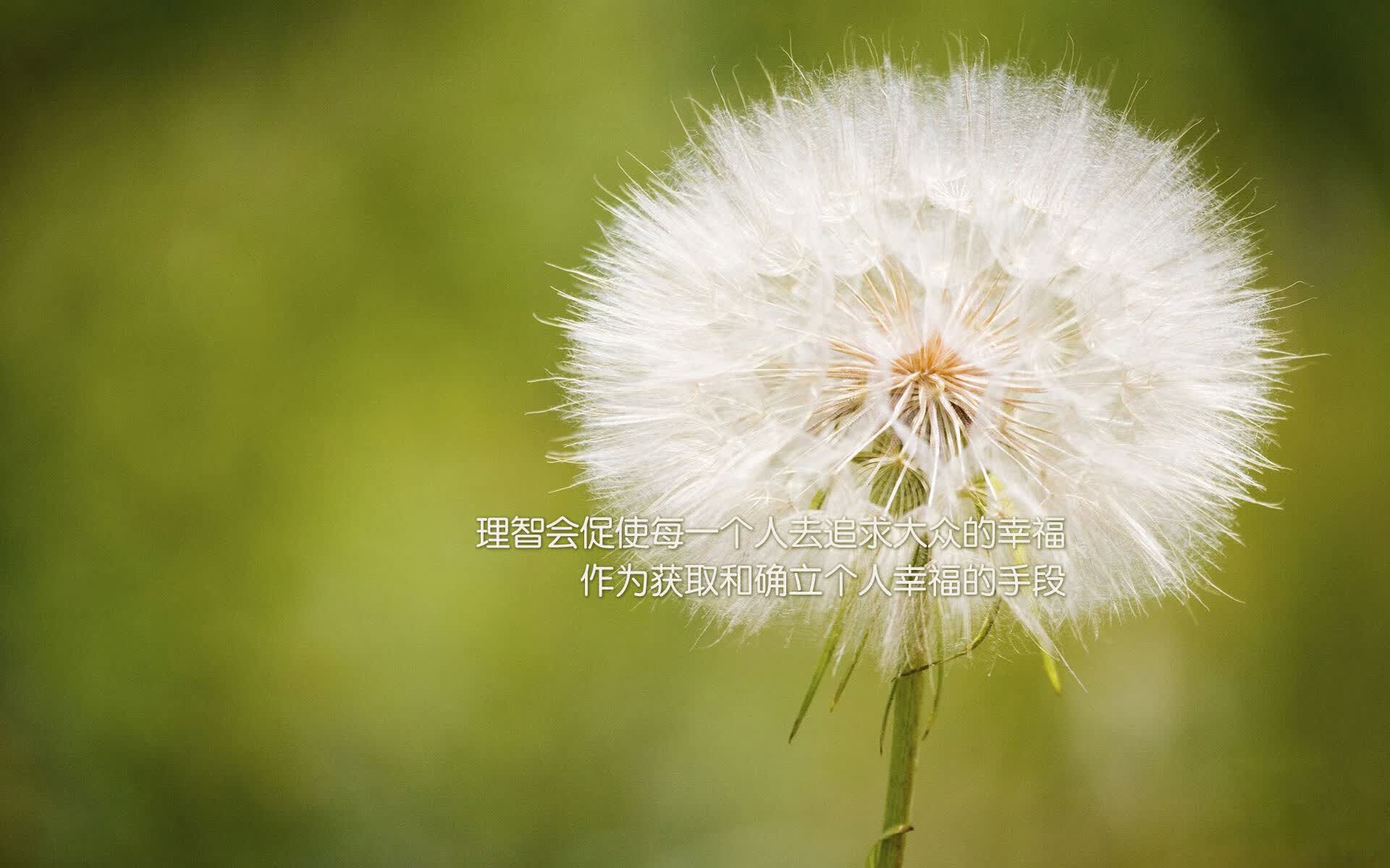 雷火电竞网址-构思